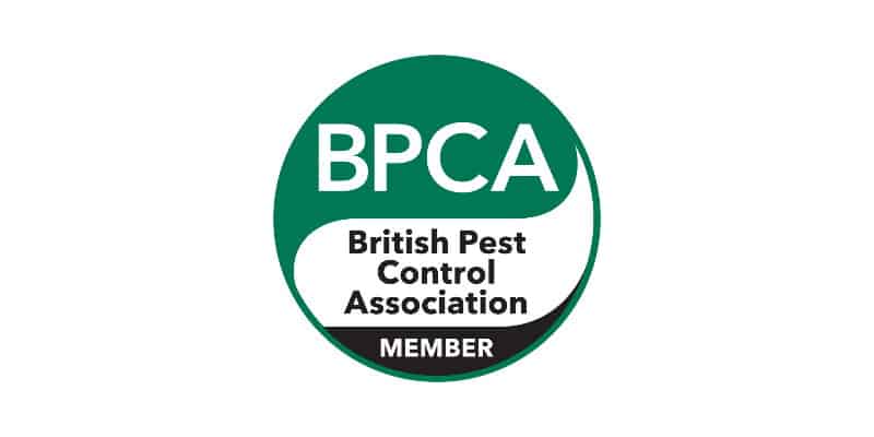 D1 Pest Control, BPCA Member Glasgow - British Pest Control Association - Pest Solutions
